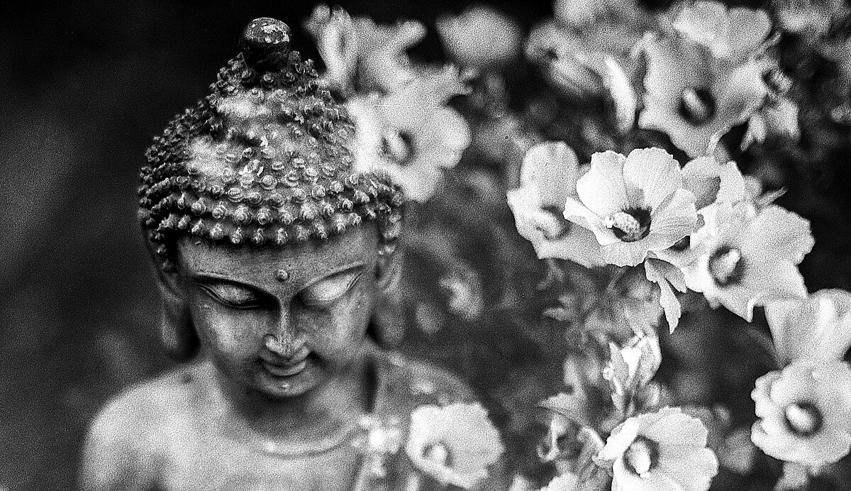 Chaophraya buddha